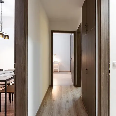Modern & Newly Built With Private Garage Budapeste